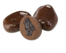 NSA Milk Chocolate Raisins-Pic